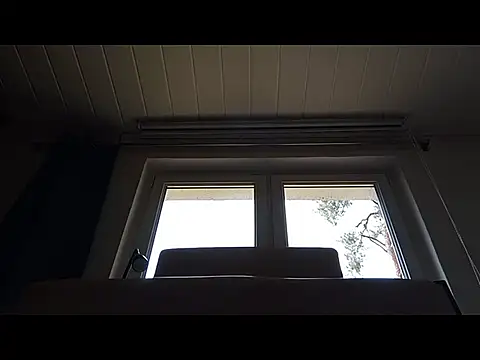 Rainfish online show from May 2026 11:15:02 AM