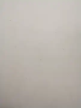 Shuttii 25 online show from January 2025 06:13:01 AM