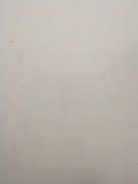 Shuttii 25 online show from February 2025 05:25:01 AM