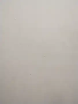 Shuttii 25 online show from February 2025 09:14:02 AM