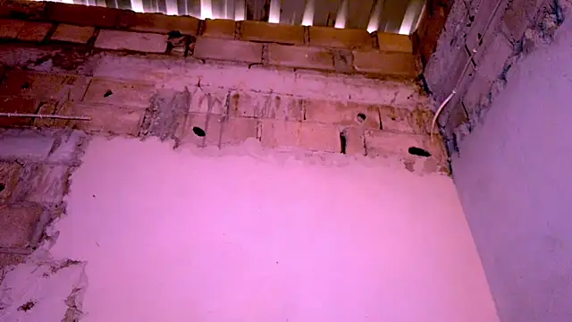 Snapshot of nzanizy chatting on December 2024 01:30:02 PM nzanizy online show from December 2024 01:30:02 PM