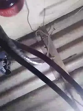 davidatration15 online show from March 2025 01:10:02 AM