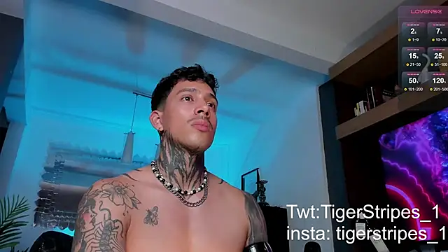 Snapshot of TigerStripes1_ chatting on February 2025 12:05:01 AM TigerStripes1 online show from February 2025 12:05:01 AM