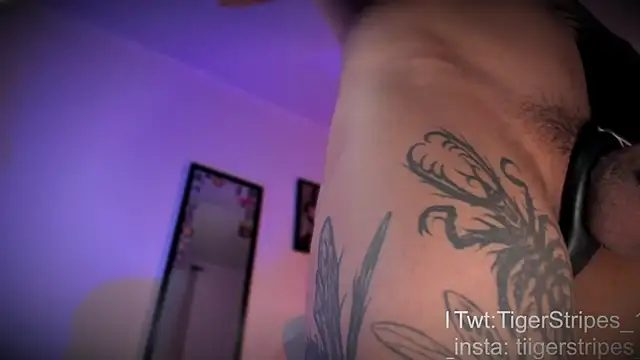 TigerStripes1  online show from April 2026 12:32:02 PM