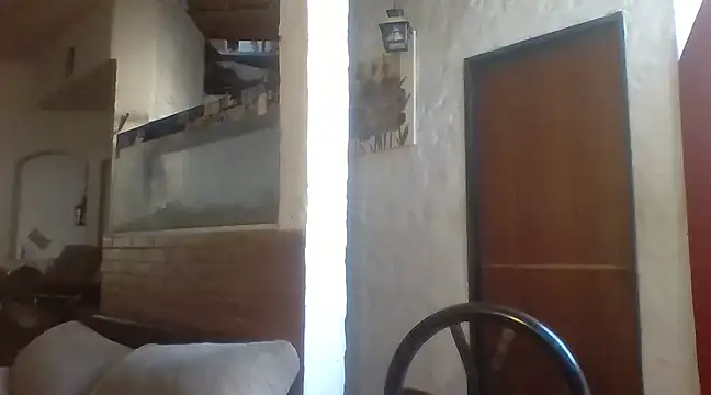 Stevenson988 online show from January 2025 09:48:02 PM