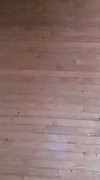 aliosa23 online show from January 2025 11:35:01 AM