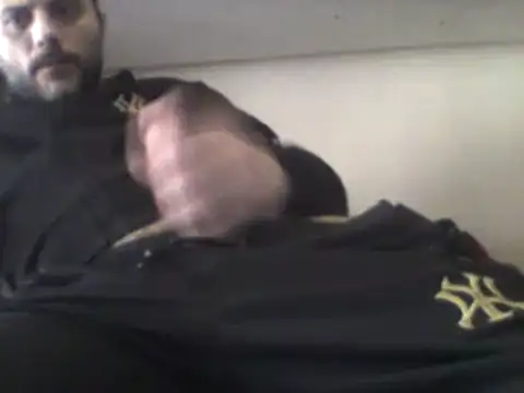 coppiasenzacensura online show from February 2025 01:38:02 PM