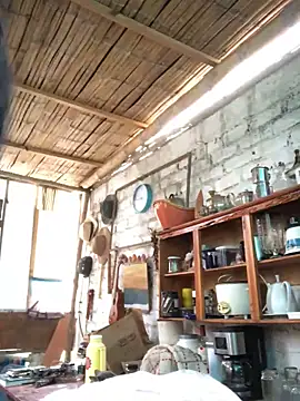 kvr27 online show from November 2025 11:35:01 AM