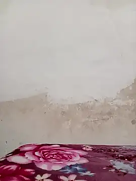 09punjabi online show from December 2024 11:07:02 AM