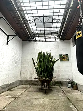 oliver price1 online show from October 2025 07:14:01 PM