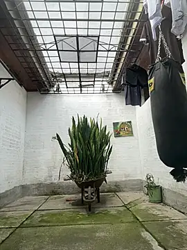 oliver price1 online show from February 2026 03:08:02 PM