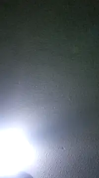 Elcogetuquieres online show from January 2025 05:16:02 AM