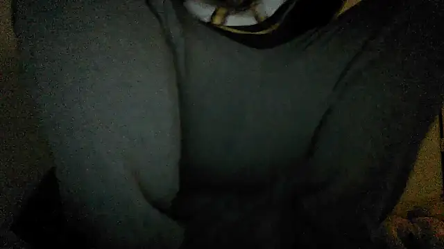 GeilerBull online show from November 2025 02:01:02 AM