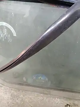 Kolkata   Boy online show from February 2025 08:46:02 AM